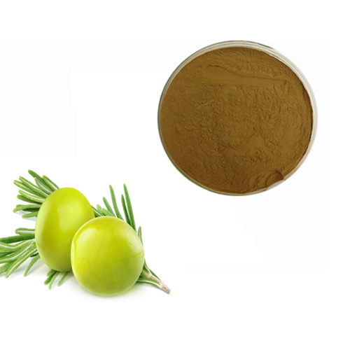 Olive Leaf Extract Powder 10% Hplc Oleuropein