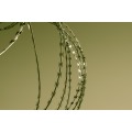 Galvanizado PVC Flat Concertina Razor Wire