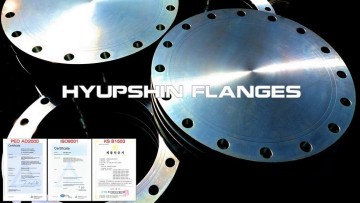 Blind Blank Raised Face Flat Face Flange BS4504