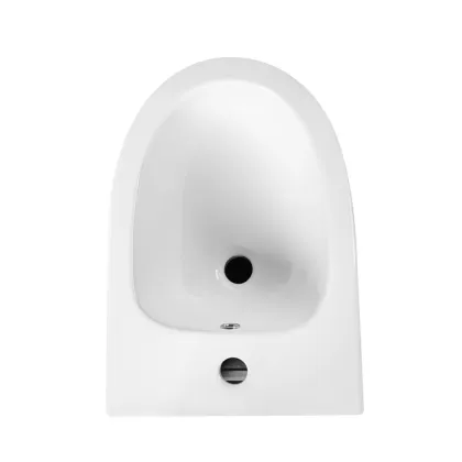 European Standard Wall-Mounted Women's Toilet Bidet