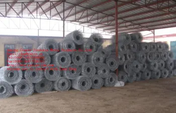 hexagonal wire mesh