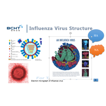 Vaccino antinfluenzale e vaccinazione