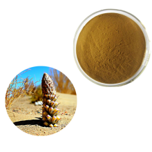 Best Price 10% Echinacoside Cistanche Deserticola Extract