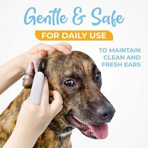 Khăn lau tùy chỉnh cho răng chó và mèo để loại bỏ cao răng