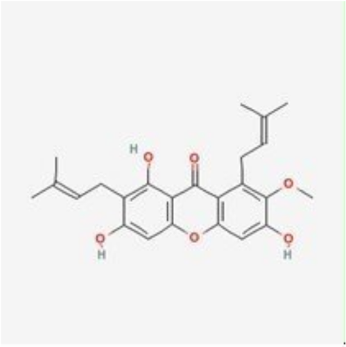 fruit extract powder Mangosteen Extract