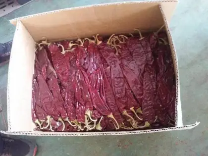 Dry Hong Long 23 Paprika Pods