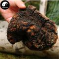 Inonotus Obliquus, Chaga Mushroom, Bai Hua Rong