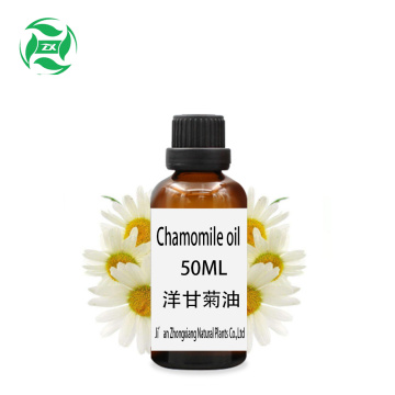 Wholesale 100% Natural Wild chrysanthemum flower oil