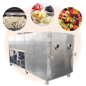 Commercial Competitive Price Freeze Dryer Lyophilизатор Aloe Vera 100 Tons Big Capacity Dry Oven Machine