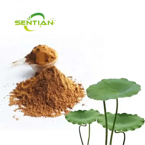 High Quality Lotus Leaf Extract Nuciferine 2% 98%