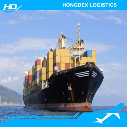 good quality sea freight canada with best price