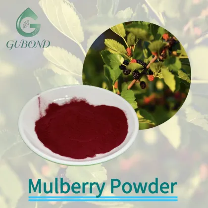 Mulberry Spray Dried Fruit Powder