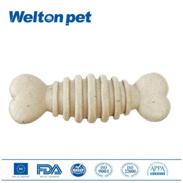 Brain development Deep Ocean Fish Dental Bone