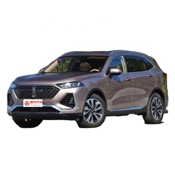 أفضل 2024 سيارات البيع الساخنة: GWM Changcheng Wey Latte-سيارة الدفع الرباعي الهجينة ذات الإضافات الممتازة ذات 5 مقاعد في سوق سيارات الطاقة الجديد