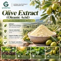Extrato de azeitona com 20%–98% de ácido oleanólico para formulações cosméticas e nutricionais