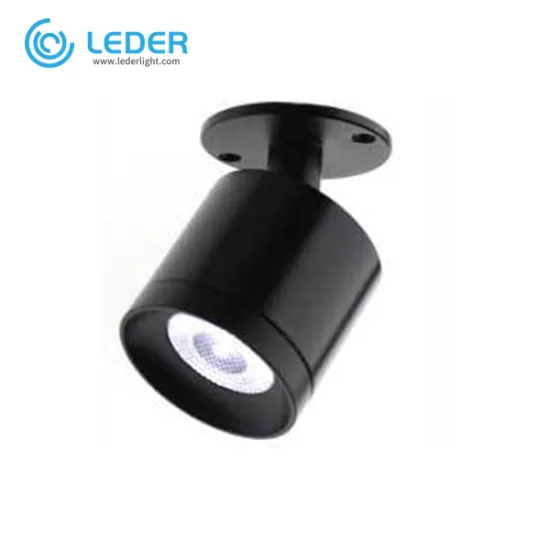 LEDER Low Power Black 2W LED Downlight