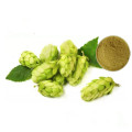 High quality hops flower extract powder