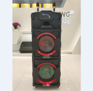 TEMEISHENG 12 Inch Professional Active Wireless Karaoke Microphone & Bluetooth Speaker