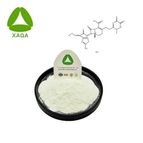 Ceftriaxona Sodium Powder CAS No 74578-69-1
