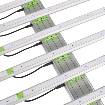 645W LED R światło do szklarni