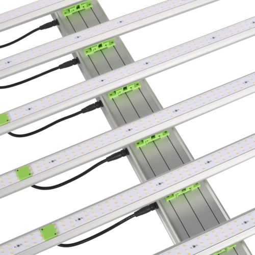 645w LED vækstlys til drivhus