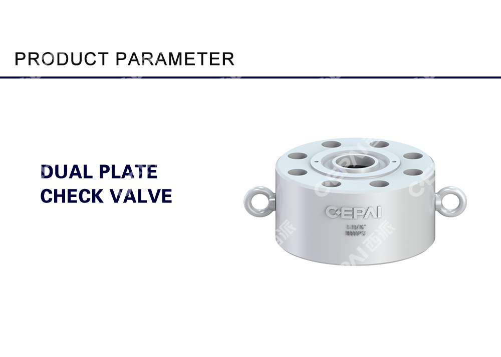 Double plate check valve