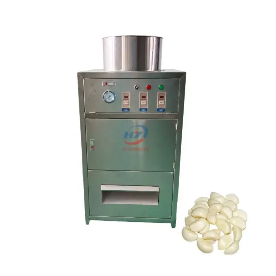 Stainless Steel Garlic Peeling Machine - Dry Skin Removing Equipment