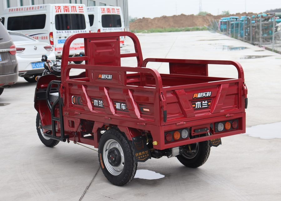 Cargo Electric Tricycle