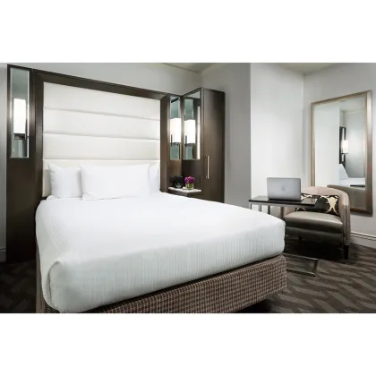 Park Plaza Radisson Hotel Five-Star Bedroom Furniture Set