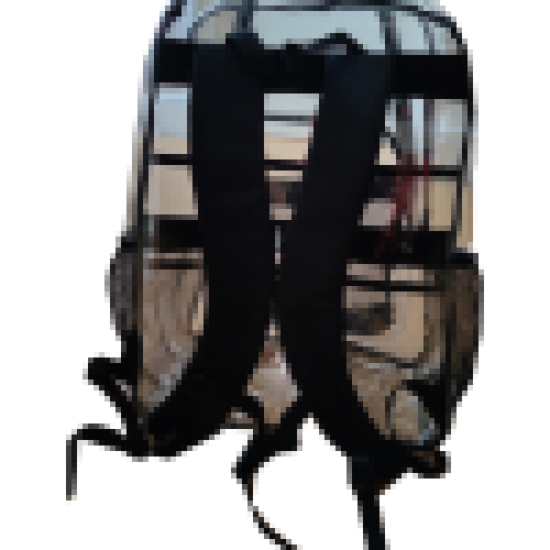Fashionable transparent large backpack