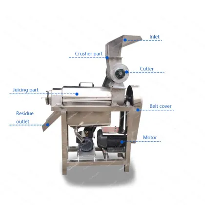 Calamansi Beetroot Herb Carrot Cold Pressed Extract Fruit Juice Machine