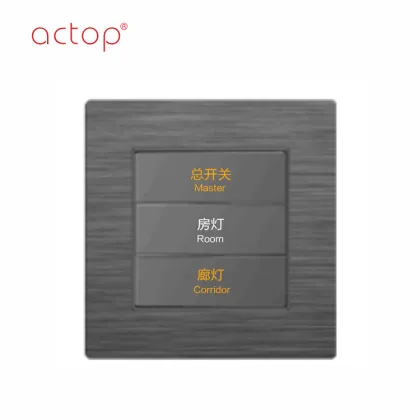 Electrical wall switch two gang wall lighting switch