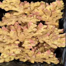 Bulk Fresh Ginger Chunks