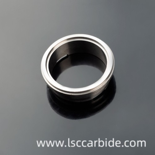 Segel Hard Sealing Carbide Precise Orifices di Pasar Minyak