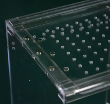 Acrylic Beetle Breeding box