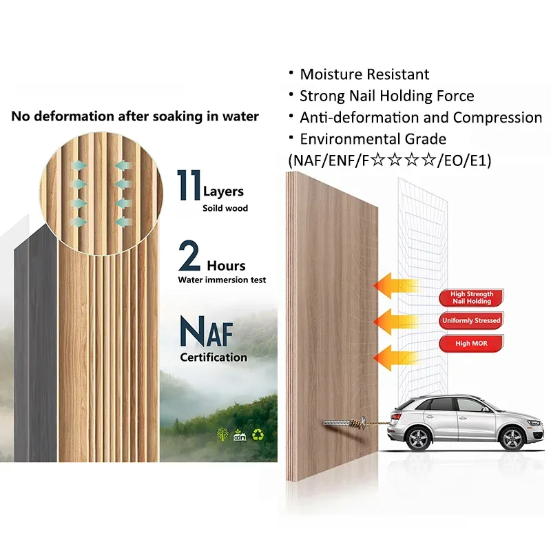 5mm-22mm Melamine Faced Eucalyptus Core Plywood for Home Decoration