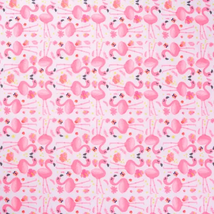 Wholesale Printed Minky Fabric Baby Blankets - Super Soft 100% Polyester Minky Blankets for Babies