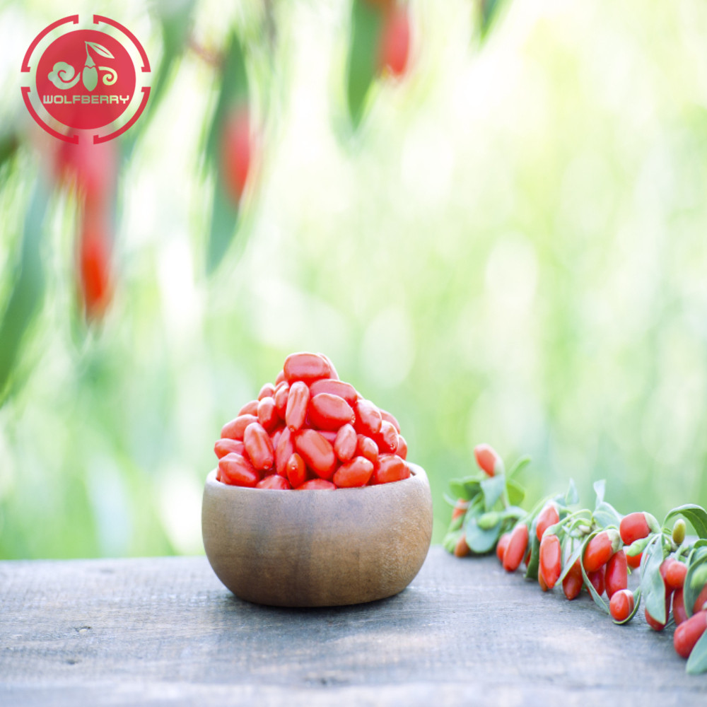 Wolfberry / Lycium Barbarum / Quả goji khỏe mạnh