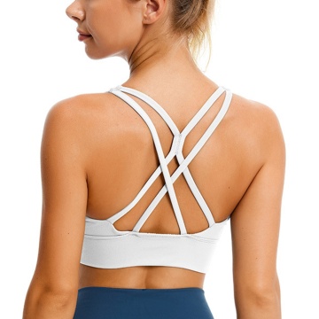 women's plus size sports bras