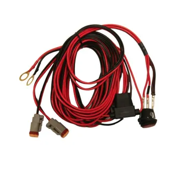 Custom DT04 DT06 Connector Cable Assembly for Auto