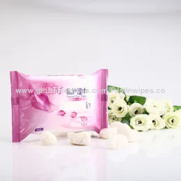 OEM Hand Wet Wipes, 20 Pieces, Antibacterial with Aloe Vera, Sized 180*150mm