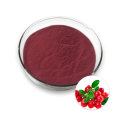 Hot Selling Natural Organic Cranberry Fruit Juice Powder