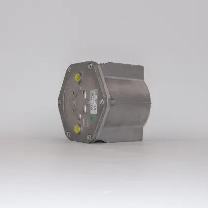 Pietro Fiorentini Gas Filters 106 Series 10604