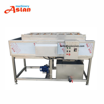 Factory Supply Automatic Parallel Brush Cleaning Machines: Tomato, Orange, and Passion Fruit Washers