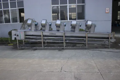 Vegetable and Fruit Cleaning Drying Machine