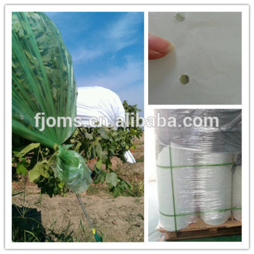 High quality Polyethylene film for grape covering
