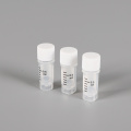 Cryotube 0.5ml, Cryo Tube עם כובע חיצוני