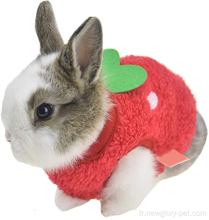 Vêtements de lapin de lapin chaud d&#39;hiver