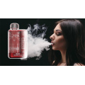 Bar elfe 5000puffs Kit de vape jetable rechargeable