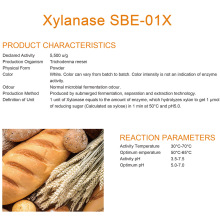 パンを改善するための濃縮ベーキングキシラナーゼ